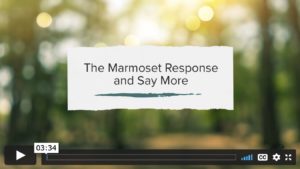 The Marmoset Response and Say More