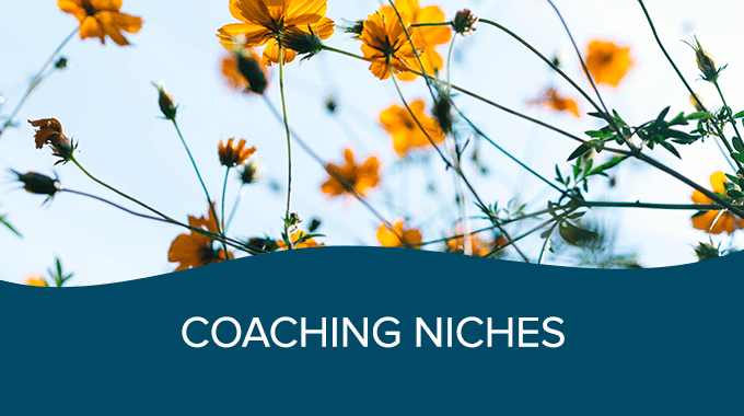 Using Wayfinder Tools for Psychedelic Integration